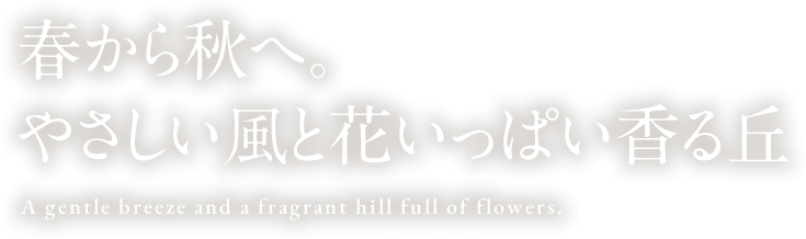 春から秋へ。優しい風と花いっぱい香る丘